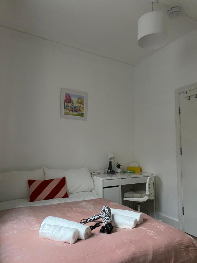 Comfy Private In Camden Town, Gazde/Camere de închiriat Londra
